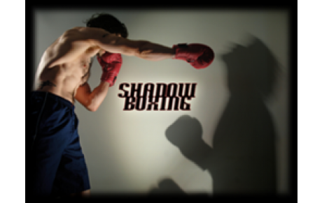 L'IMPORTANCE DU SHADOW BOXING EN FULL-CONTACT
